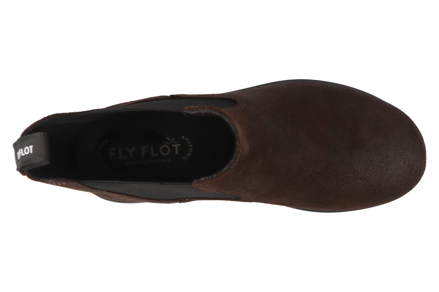 FL 12 765 T42807 Testa di moro