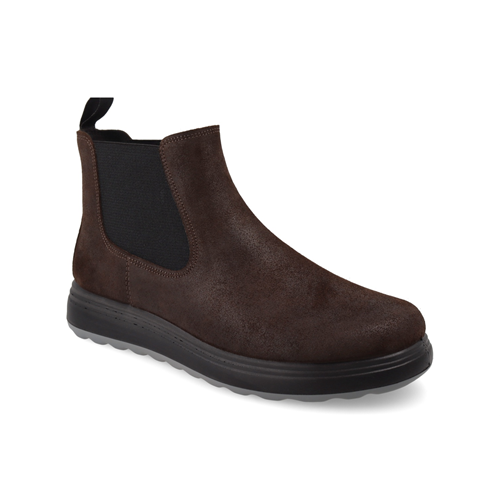 FL 12 765 T42807 Testa di moro