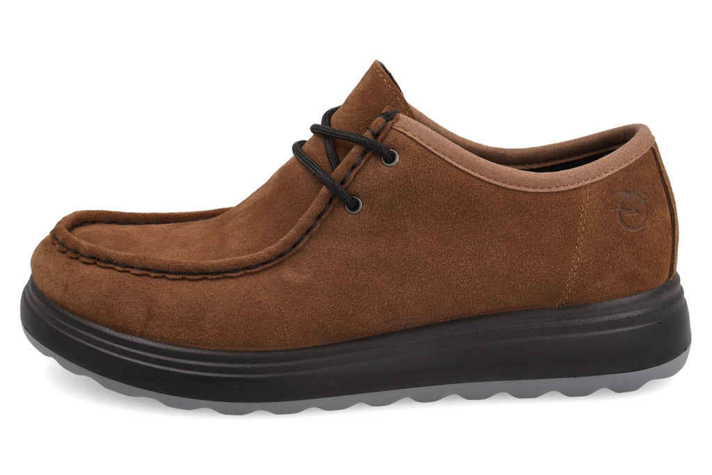 FL 12 766 S42856 Rovere Scuro